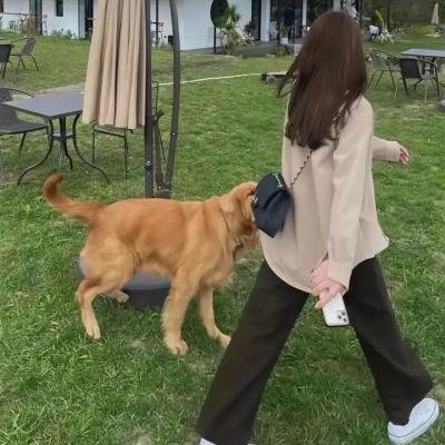 摩斯探长前传第一季